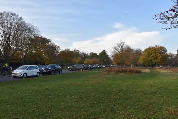 A busy Queen's Road in Richmond Park (picture: Jack Fifield)