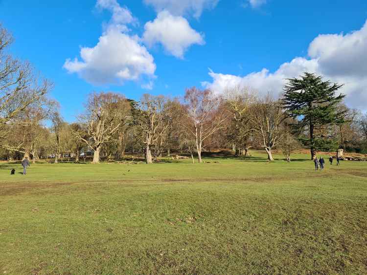 Richmond Park on a February afternoon