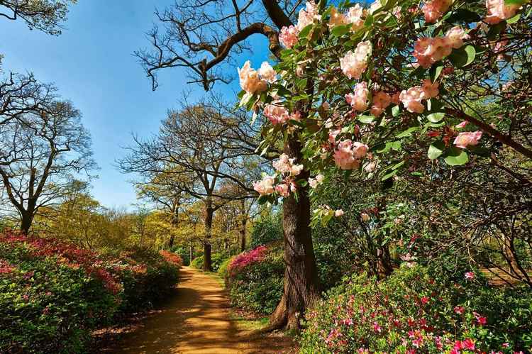 The 42 acre enclosure is well worth visiting in Spring