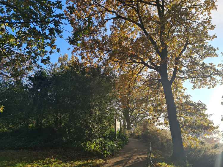 Richmond Park