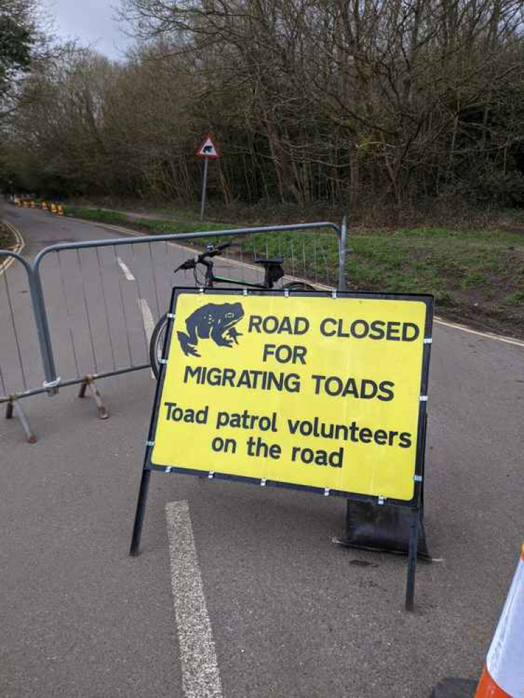 A 400m section of Church Road has been closed. Photo by Jack Fifield