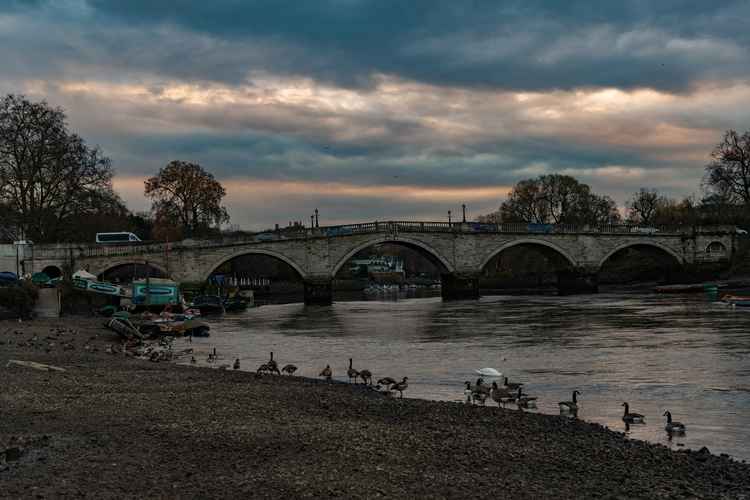 Thames bed visible in Richmond by Siem Ridley Photography