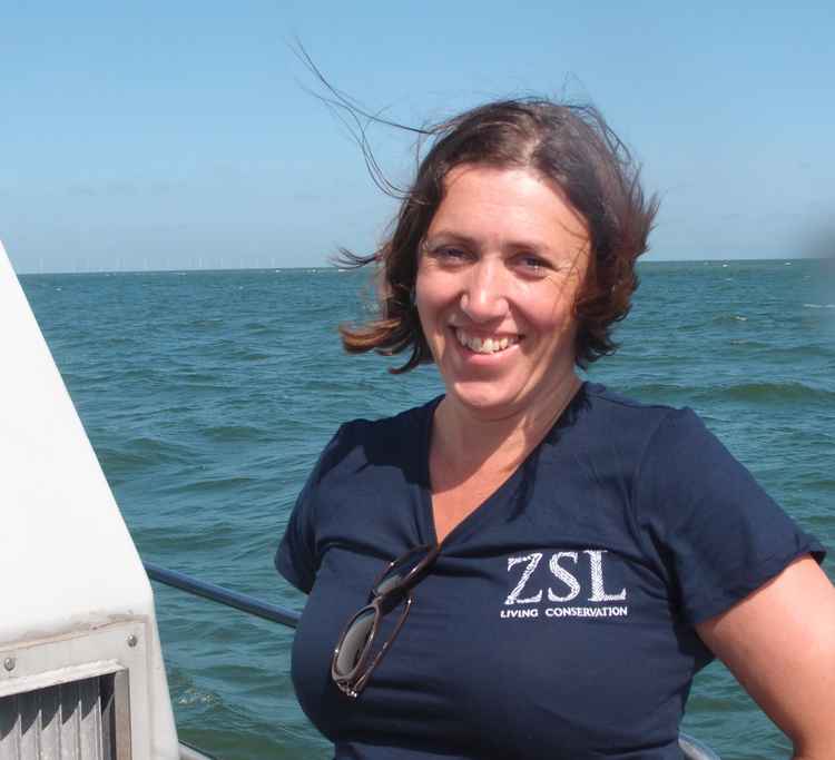 Alison Debney is ZSL's estuaries and wetlands programme manager