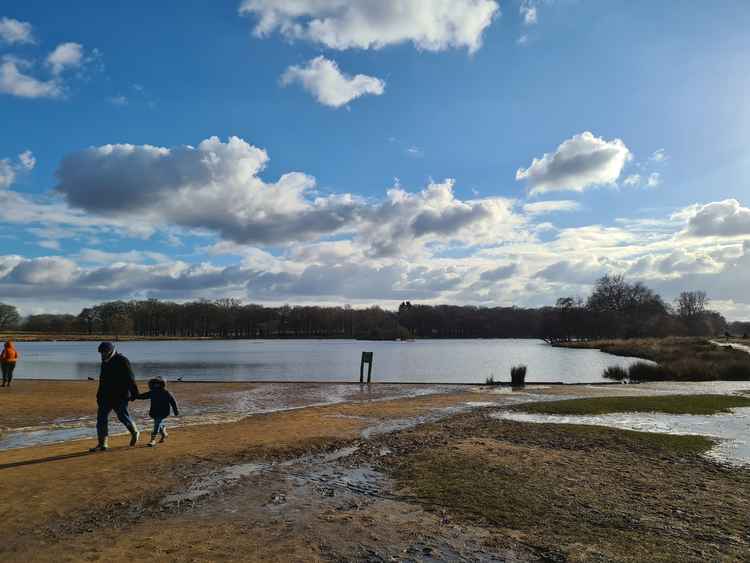 Richmond Park on a February afternoon