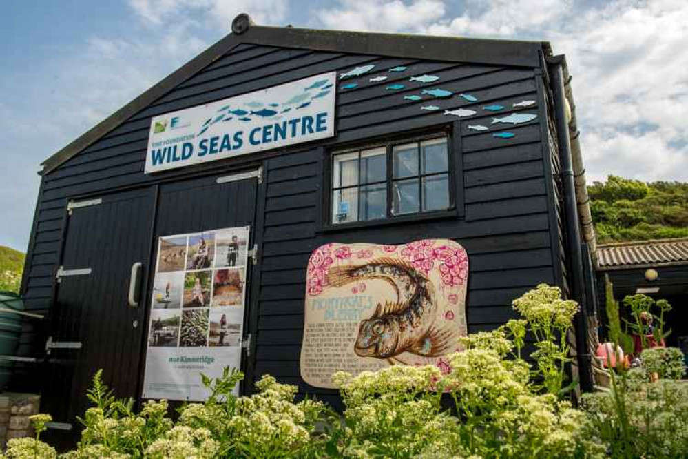 Fine Foundation Wild Seas Centre Picture: Phil Abraham