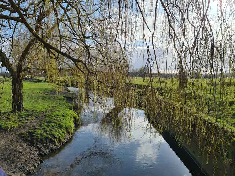 Richmond Park