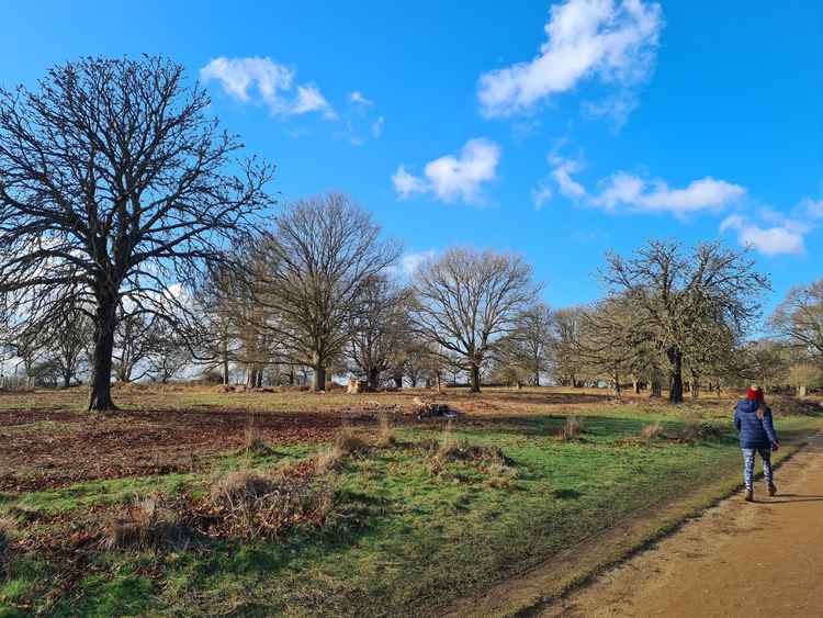 Richmond Park