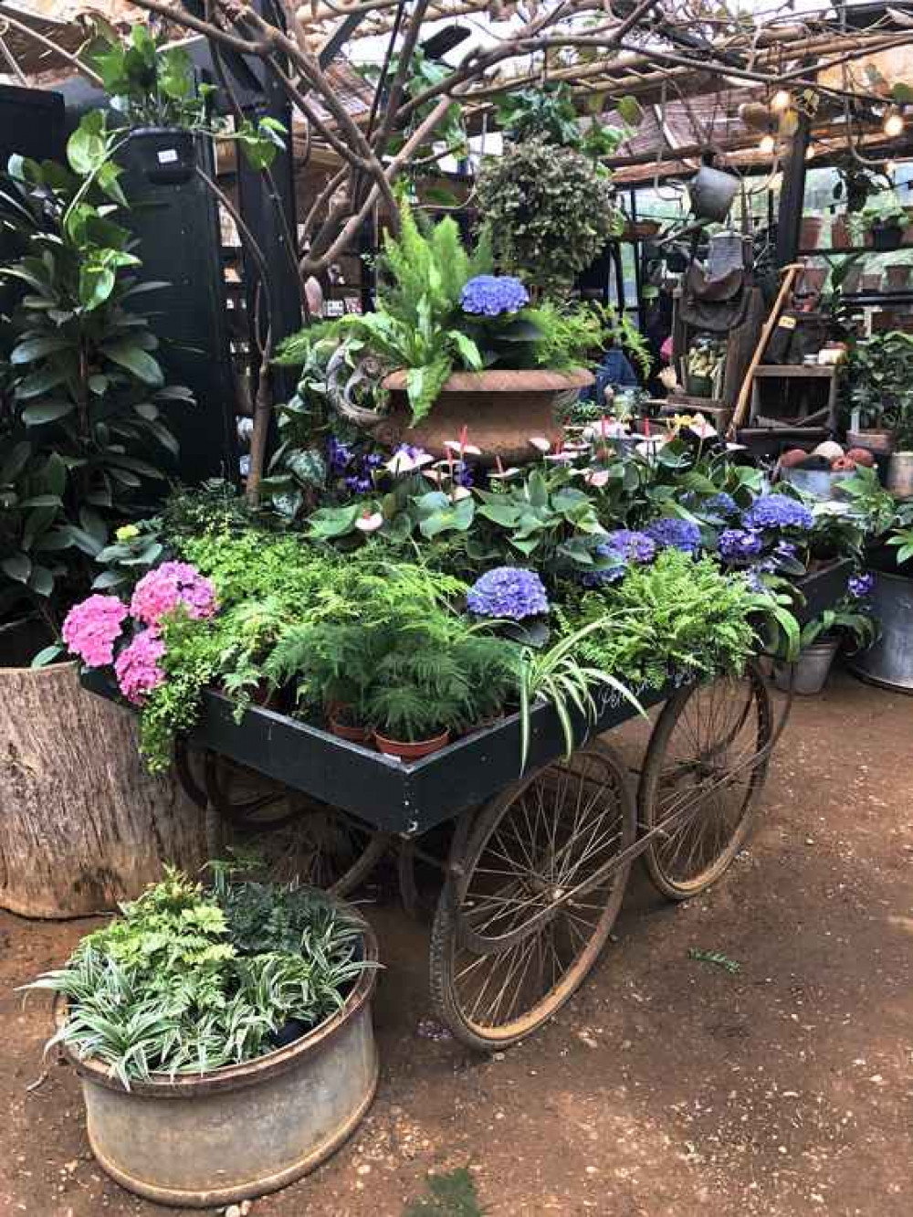 Inside the nurseries (picture: Herry Lawford)