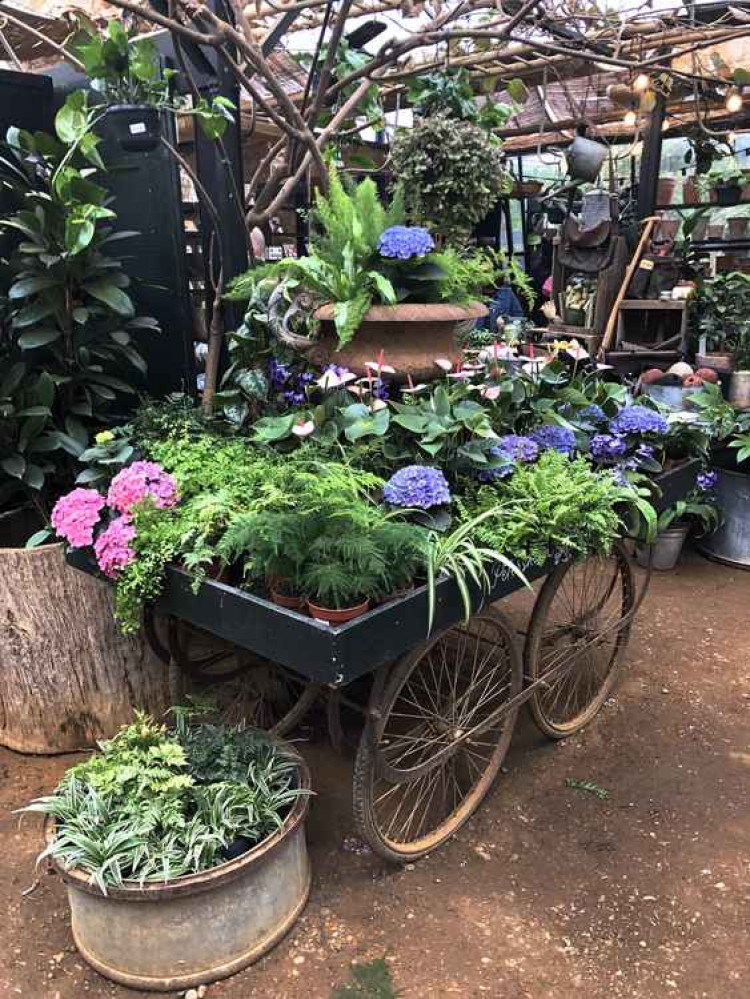 Inside the nurseries (picture: Herry Lawford)