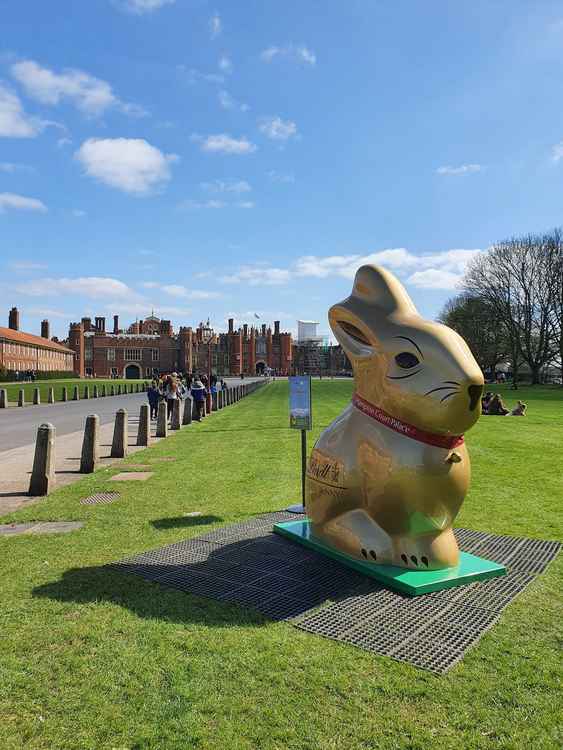 One of the bunnies greets visitors (picture: www.mummytravels.com/)