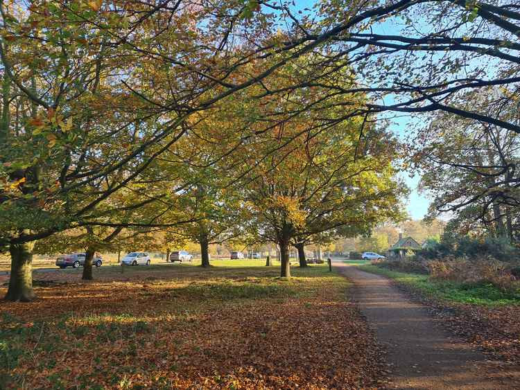 Richmond Park