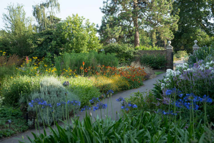 Duke's Garden in Summer (picture: RGB Kew)