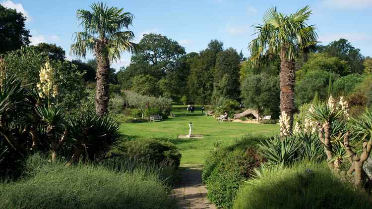 The Mediterranean Garden at Kew (picture: RGB Kew)