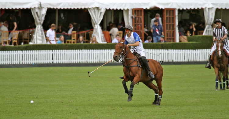 Action at Ham Polo Club (picture: Billpolo)