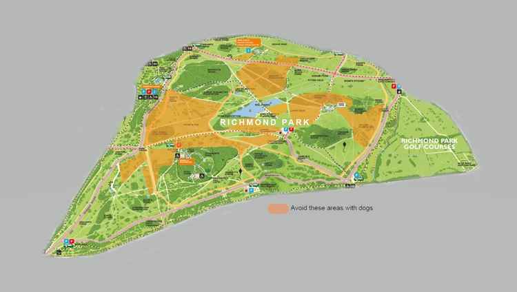 Areas to avoid in Richmond Park during birthing season if you are walking a dog