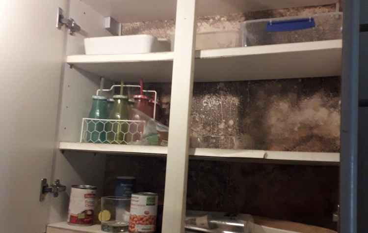 A kitchen cupboard with significant black mould, which is damaging to health (Image: Richmond Council)