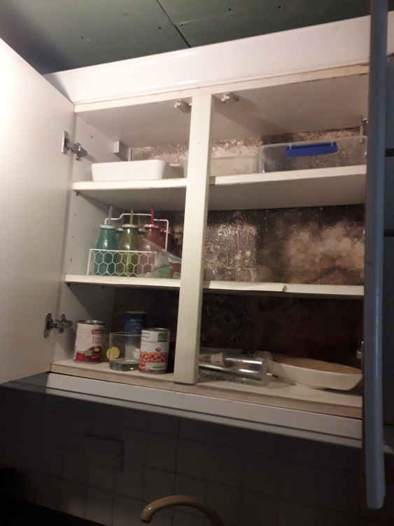 A kitchen cupboard with significant black mould, which is damaging to health (Image: Richmond Council)