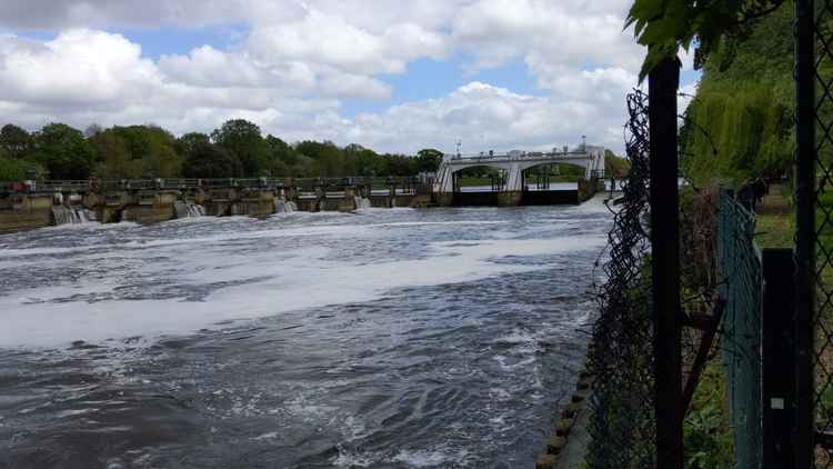 The whale is now at Teddington lock (Image: Ellie Brown))