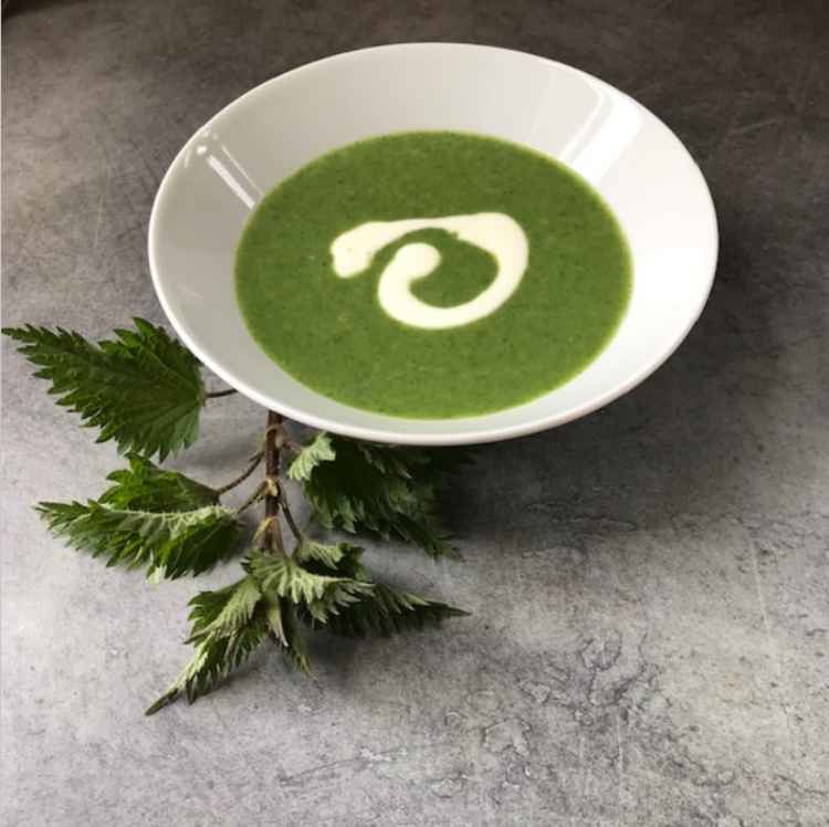 Nettle Soup