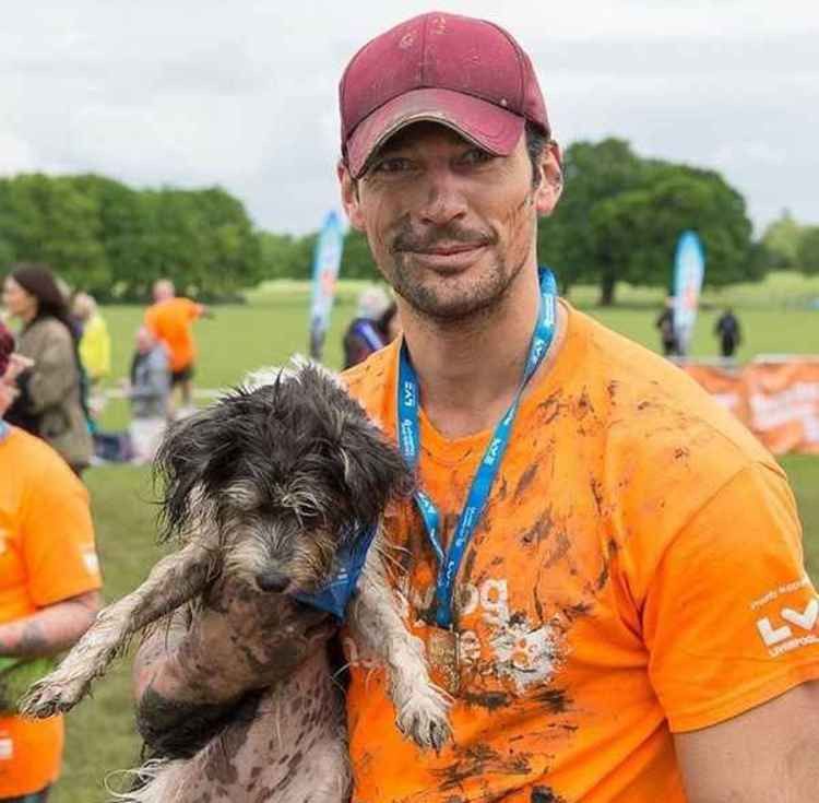 Gandy and Dora regularly run together (Credit: Muddy Dogs)