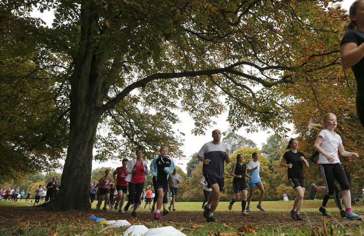 The original parkrun course at Bushy Park (Image: Kevin Wood)