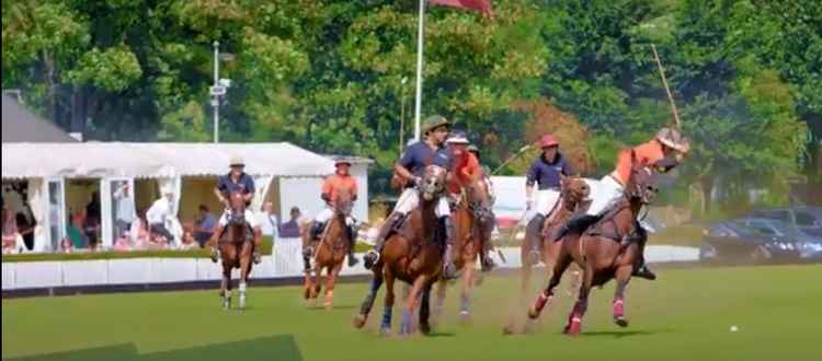 Ham Polo Club - loved by Royals - at centre of toxic waste row | Local News  | News | Richmond Nub News