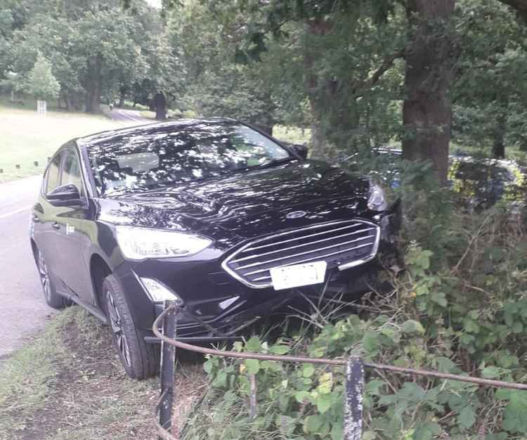 The car crashed into the fence and bushes (Image: Royal Parks Police)