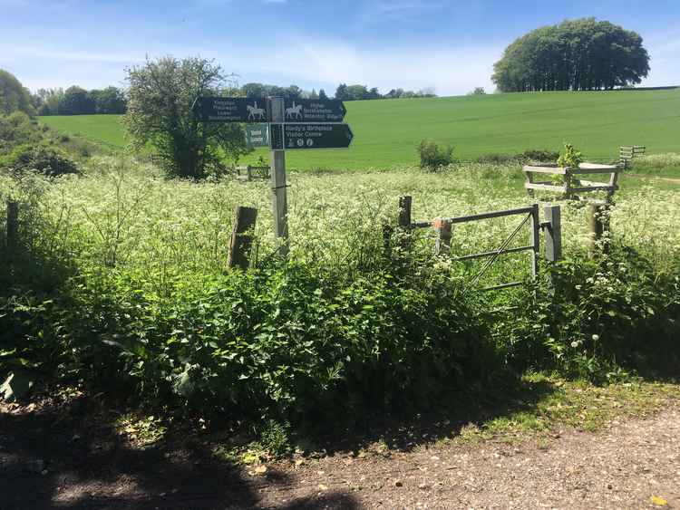 Cross the road and go through the metal gate on the left. It's quite overgrown but passable