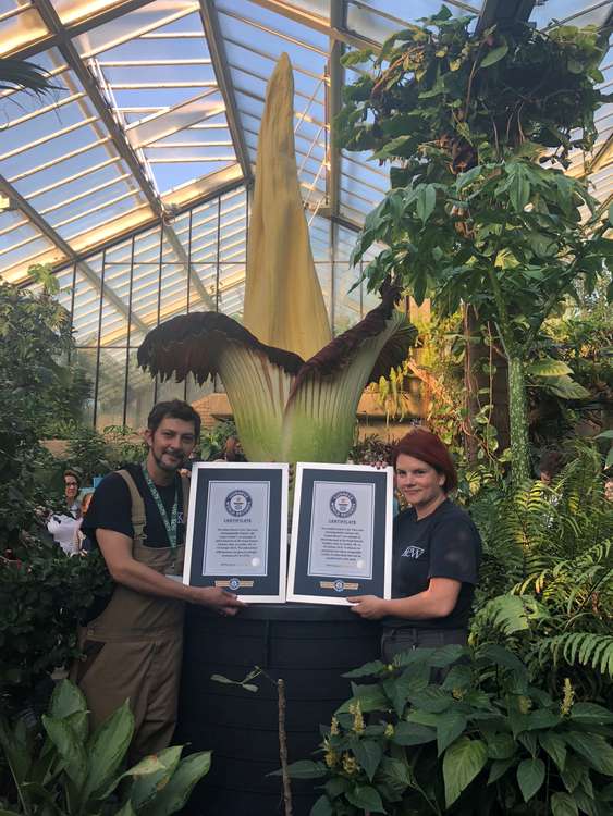 Proud horticulturists displaying the accolade. Credit: RBG Kew.