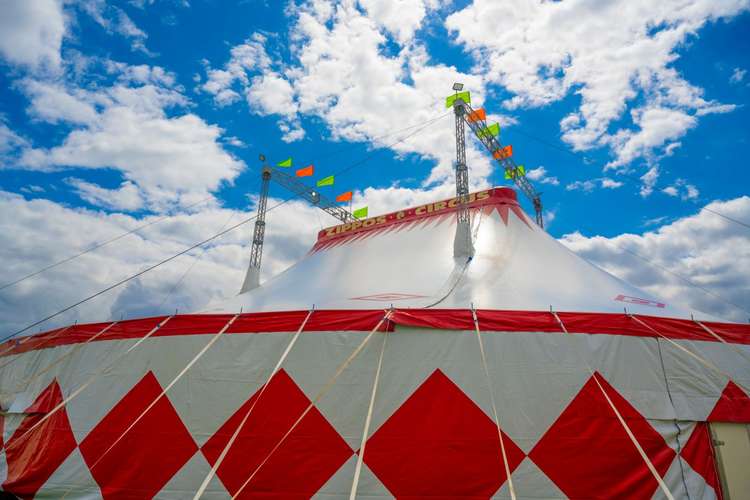 Zippos Circus Big Top 05 - ZIPPOS CIRCUS 2021 CARNIVAL! - Photographer Piet-Hein Out