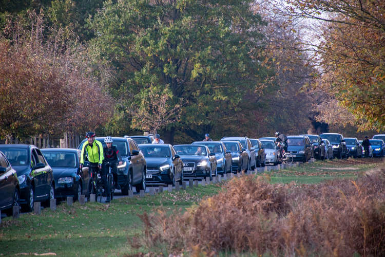 Drivers queueing in Richmond Park
