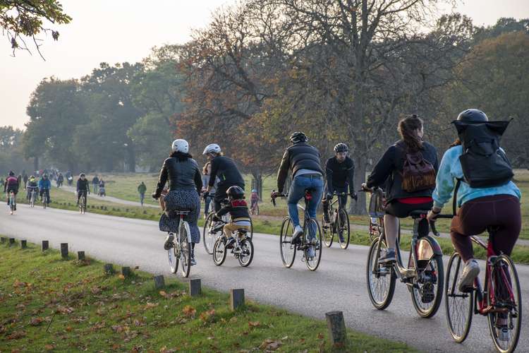 Cyclists on a road closed to car traffic in Richmond Park