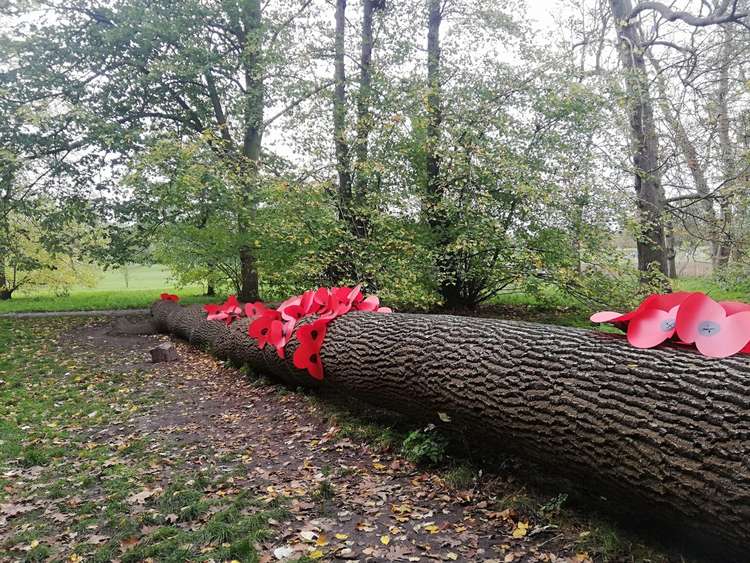 The park has been dressed with poppies and a wreath will be laid to honour the hundreds of people from the area who lost their lives. Credit: Friends of Marble Hill.