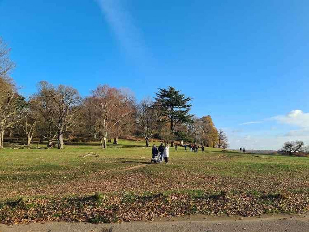 London's parks are warning the public not to feed or touch birds amid a bird flu outbreak.