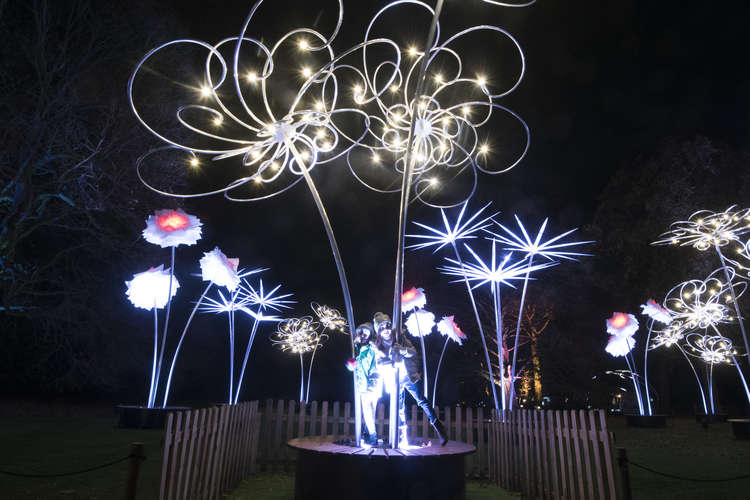 Interactive light displays for the family to enjoy. Credit: ©RBG Kew.