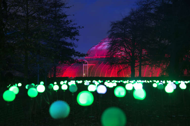 The beauty of the lights at night. Credit: ©RBG Kew.