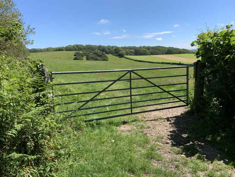 Go through the metal gate and walk straight along the edge of the field