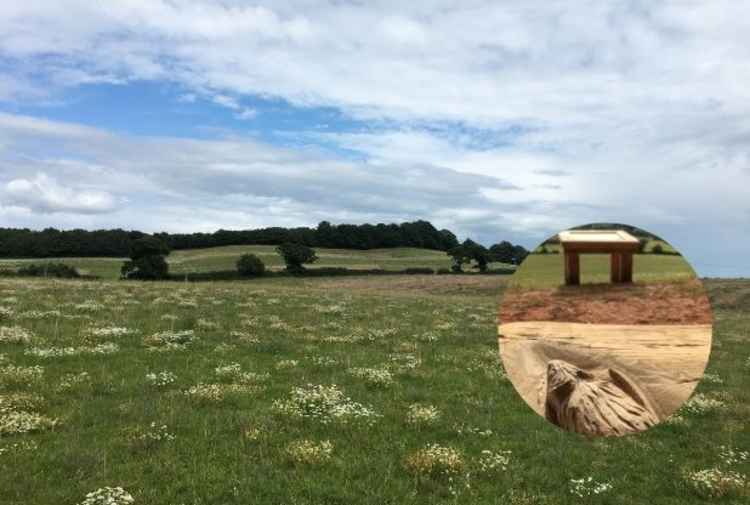 The countryside park, with (inset) one of the wood carvings on the Lookout frame. Picture: Teignbridge District Council.