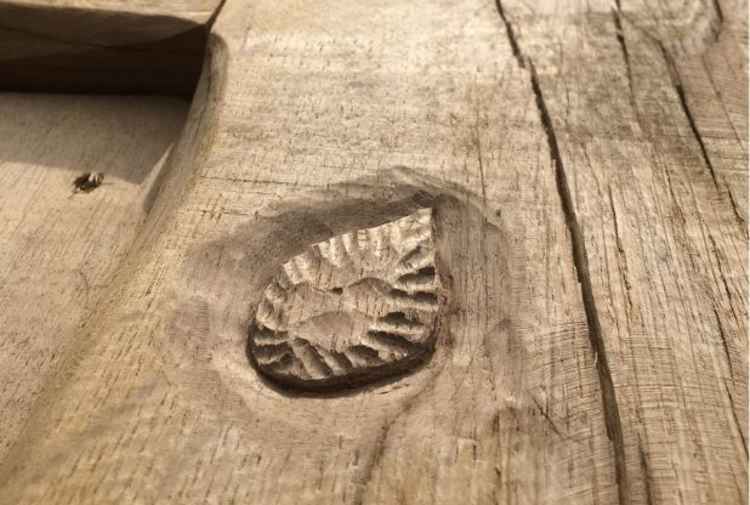 One of the wood carvings at the Countryside Park. Picture: Teignbridge District Council