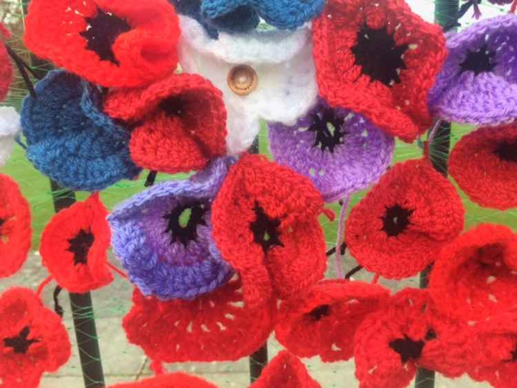 Colourful knitted poppies at Dawlish's Poppy Wall