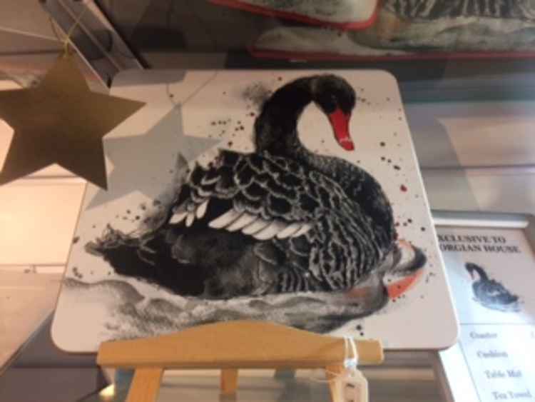 This artist's depiction of one of Dawlish's black swans appears on many Georgian House products