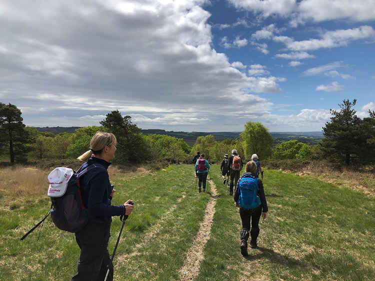 Picture by Teignmouth and Dawlish Ramblers