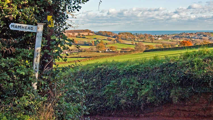 Picture by Teignmouth and Dawlish Ramblers