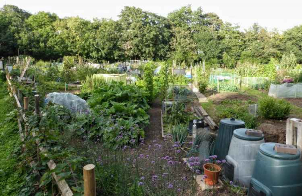 The Brownsbrook allotments - which have a long waiting list
