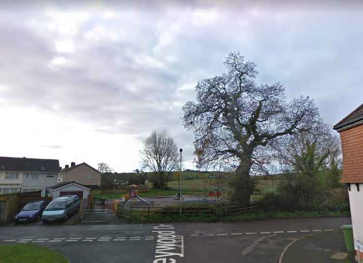 The oak tree that will be lost. Picture: Google Maps