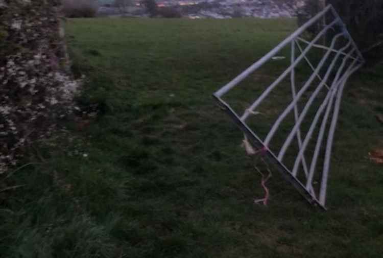 Gate into cattle field left open