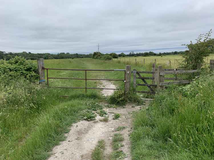 Go through the gate into a field, following the path through the field