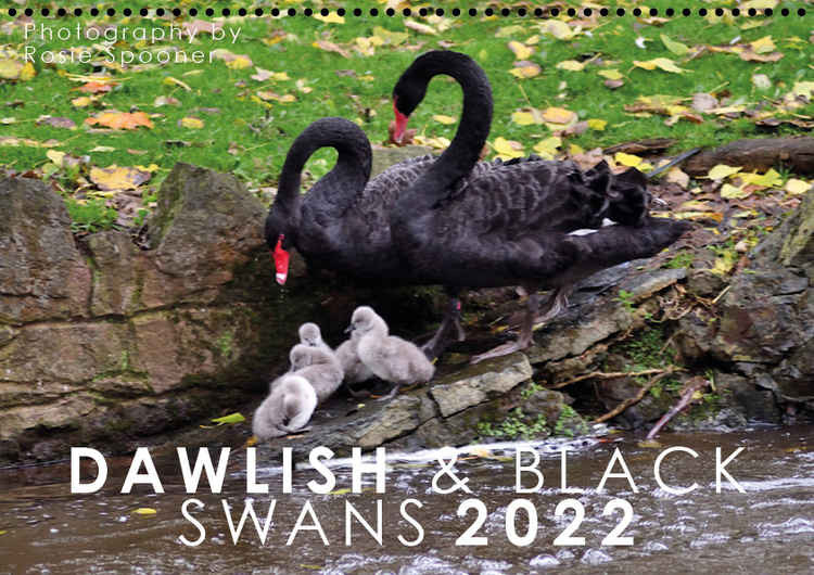 Dawlish Calendar 2022