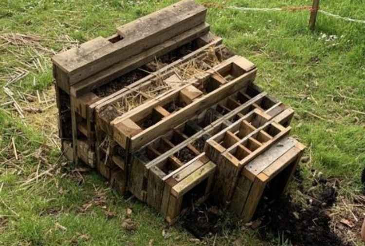 The 'bug hotel' that was deliberately knocked over by trespassers