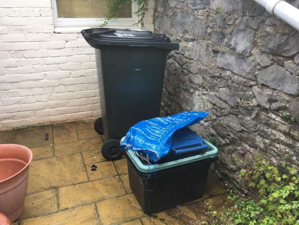 An example of Teignbridge bins. Credit: LDRS
